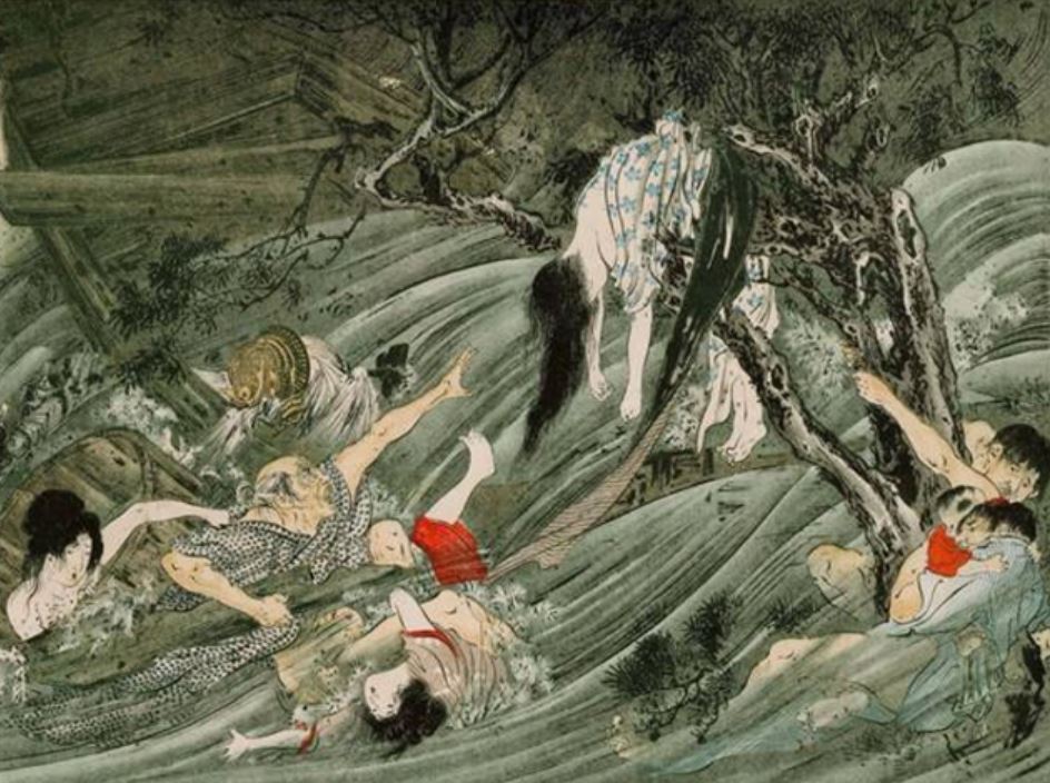 आमतौर पर देखा जाता है कि सुनामी की वजह से लोगों की मौत पानी में डूबने से होती है, लेकिन इस सुनामी से मारे गए लोगों के शव बुरी तरह से बरामद हुए थे।