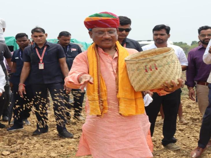 खेत में धान का छिड़काव करते हुए सीएम साय।