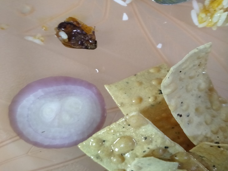 बीएसपी के खाने में निकला कॉकरोच। - Dainik Bhaskar