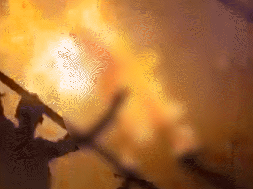 पाकिस्तान में भीड़ ने एक व्यक्ति को जिंदा जला दिया। - Dainik Bhaskar