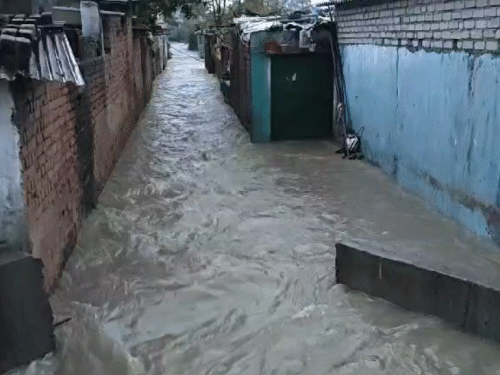 कोरबा में गलियां, वर्कशॉप और सड़कें लबालब, VIDEO - Dainik Bhaskar