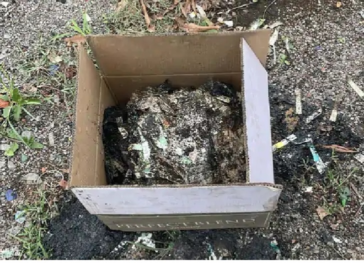 ढेबर की जमीन में जांच के दौरान इस तरह से अधजले होलोग्राम बरामद होने का दावा ACB ने किया है।