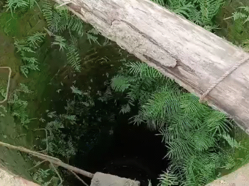 कोरबा में इसी कुएं में बुजुर्ग को बचाने के लिए 3 लोग उतरे थे। सभी की मौत हो गई। सूचना मिलने पर पुलिस मौके पर जांच के लिए पहुंची।