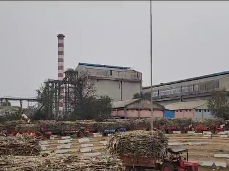 मां महामाया शक्कर कारखाना, केरता - Dainik Bhaskar