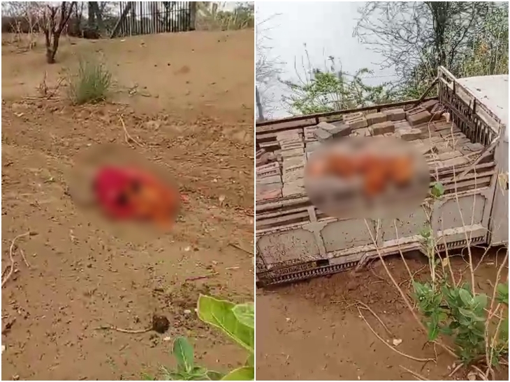 कृष्णा देवी के शरीर के दो टुकड़े हो गए। कमर से नीचे का हिस्सा पिकअप में रह गया और ऊपर का हिस्सा करीब 30 फीट दूर जाकर गिरा।