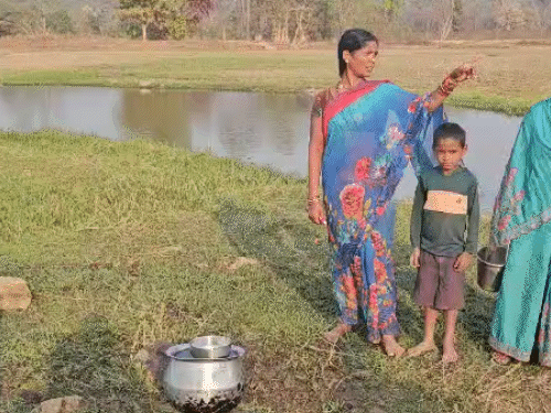 पिछले साल की तुलना में इस साल गरियाबंद जिले में जुलाई में 27% कम बारिश हुई है। कम बारिश से पैरी नदी की धार धीमी पड़ी है। महिलाओं को पानी भरने के लिए काफी दूर तक जाना पड़ रहा है।