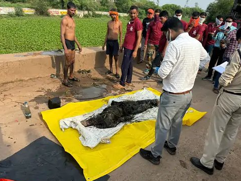 छत्तीसगढ़ के दुर्ग जिले में 3 लोगों ने शराब पार्टी के बाद अपने दोस्त को मार डाला। दिनेश आदिल की सड़ी गली मिली लाश। - Dainik Bhaskar