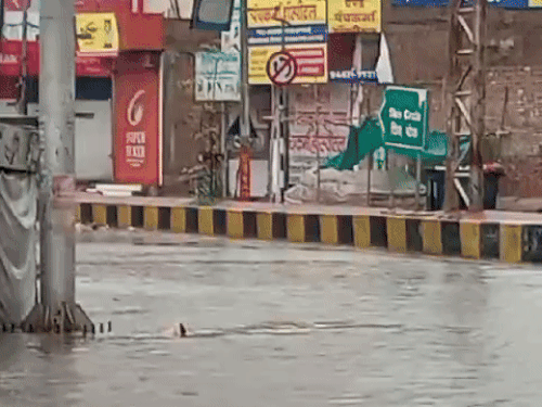 Heavy rain in Sri Ganganagar and surrounding areas | श्रीगंगानगर में बारिश से मौसम हुआ सुहाना: सड़कों व​ निचले इलाकों में भरा पानी, लोग हुए परेशान - Sriganganagar News | Dainik ...