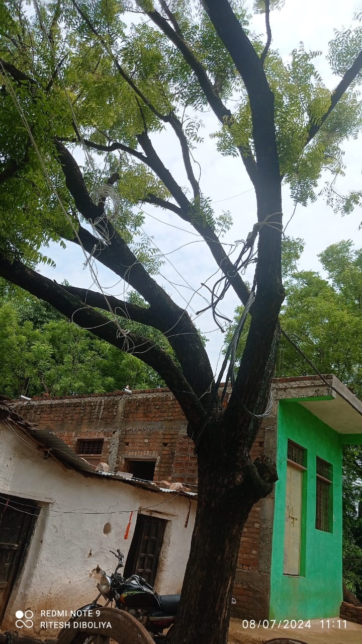 Electricity pole broke due to falling of tree, cable tied to the tree ...
