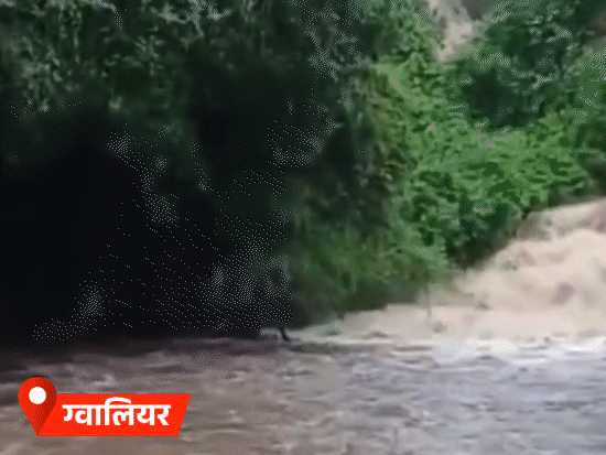 मध्य प्रदेश के उज्जैन, ग्वालियर सहित कई प्रमुख शहरों में लगातार बारिश हो रही है। सड़कों पर पानी भर गया है। नदियां उफान पर हैं। झरनों का जलस्तर बढ़ गया है।