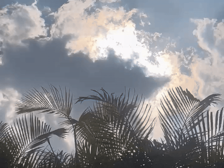 मंगलवार (9 जुलाई) को करनाल, कैथल, कुरुक्षेत्र, अंबाला में गरज, बिजली और तेज हवाओं के साथ बारिश की संभावना है।