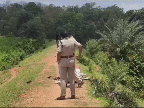 छत्तीसगढ़ के कोरबा जिले में गोपालपुर के बांघापारा डैम में स्कूल बैग और बोरे में एक युवक के लाश के टुकड़े मिले हैं। - Dainik Bhaskar