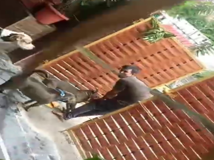 शुरुआत में इस घटना का पता किसी को नहीं चला।