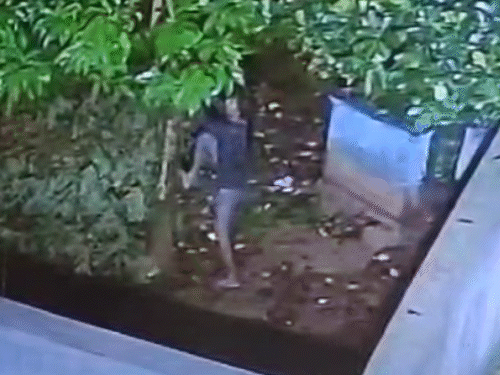 सिगरेट पीने के बाद अभय फांसी के फंदे पर झूलने के लिए पेड़ पर चढ़ गया।