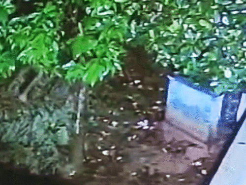 जगदलपुर में युवक के सुसाइड का CCTV वीडियो सामने आया है। - Dainik Bhaskar