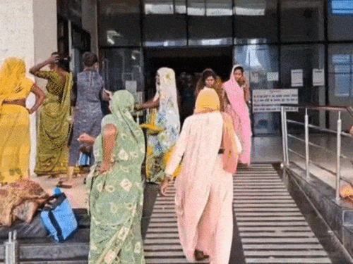 Gujarat Chandipura Virus Outbreak Update; Children Death | Chandipura  Symptoms | गुजरात में चांदीपुरा वायरस, 4 और बच्चों की जान गई: मौतों की  संख्या 19 हुई, अब तक 31 मामले दर्ज; 5