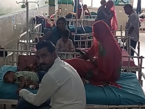Dungarpur (Rajasthan) Chandipura Virus Cases Update | Dungarpur News |  डूंगरपुर में चांदीपुरा वायरस के दो संदिग्ध बच्चे मिले: 4 बच्चों की मौत,  दावा- टीबी और वायरल की वजह से ...