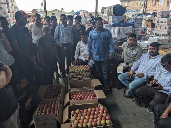 Himachal News: Royal apple arrives Bhatakufar mandi Churag | हिमाचल की ...