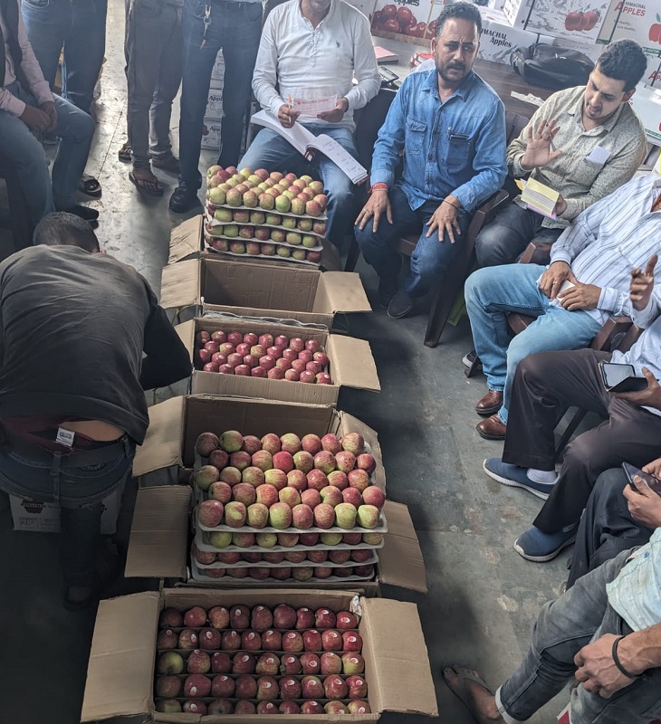 Himachal News: Royal apple arrives Bhatakufar mandi Churag