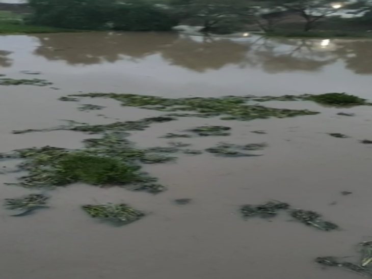 खारुन नदी में जलस्तर बढ़ने से गंदगी, कचरा और जलकुंभी जमा हो गया है।