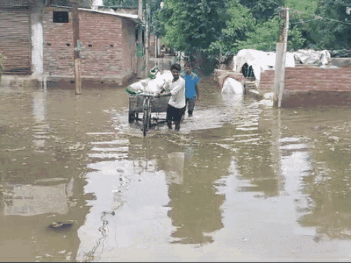 गोरखपुर में 20 दिन से बाढ़ जैसे हालात हैं। 30 हजार लोग प्रभावित हैं।