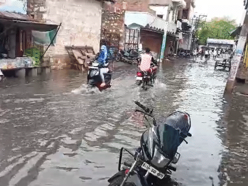 Latest kotputli News (कोटपूतली न्यूज़): पढ़ें 24 जुलाई के ताज़ा समाचार  दैनिक भास्कर पर