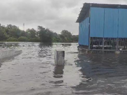 SECL के आवासीय क्षेत्र में घुसा पानी।