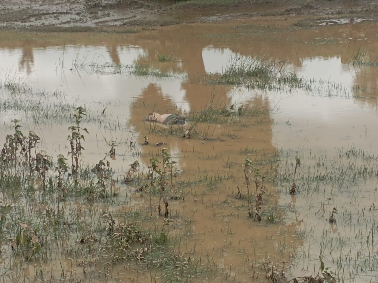 Body of man found in Neur river | नेउर नदी में मिला व्यक्ति का शव: मृतक ...