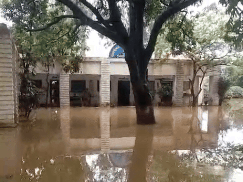 पन्ना में एनडीआरएफ और होमगार्ड कार्यालय में पानी भर गया है। कर्मचारियों को ऑफिस पहुंचने में काफी परेशानी हो रही है।