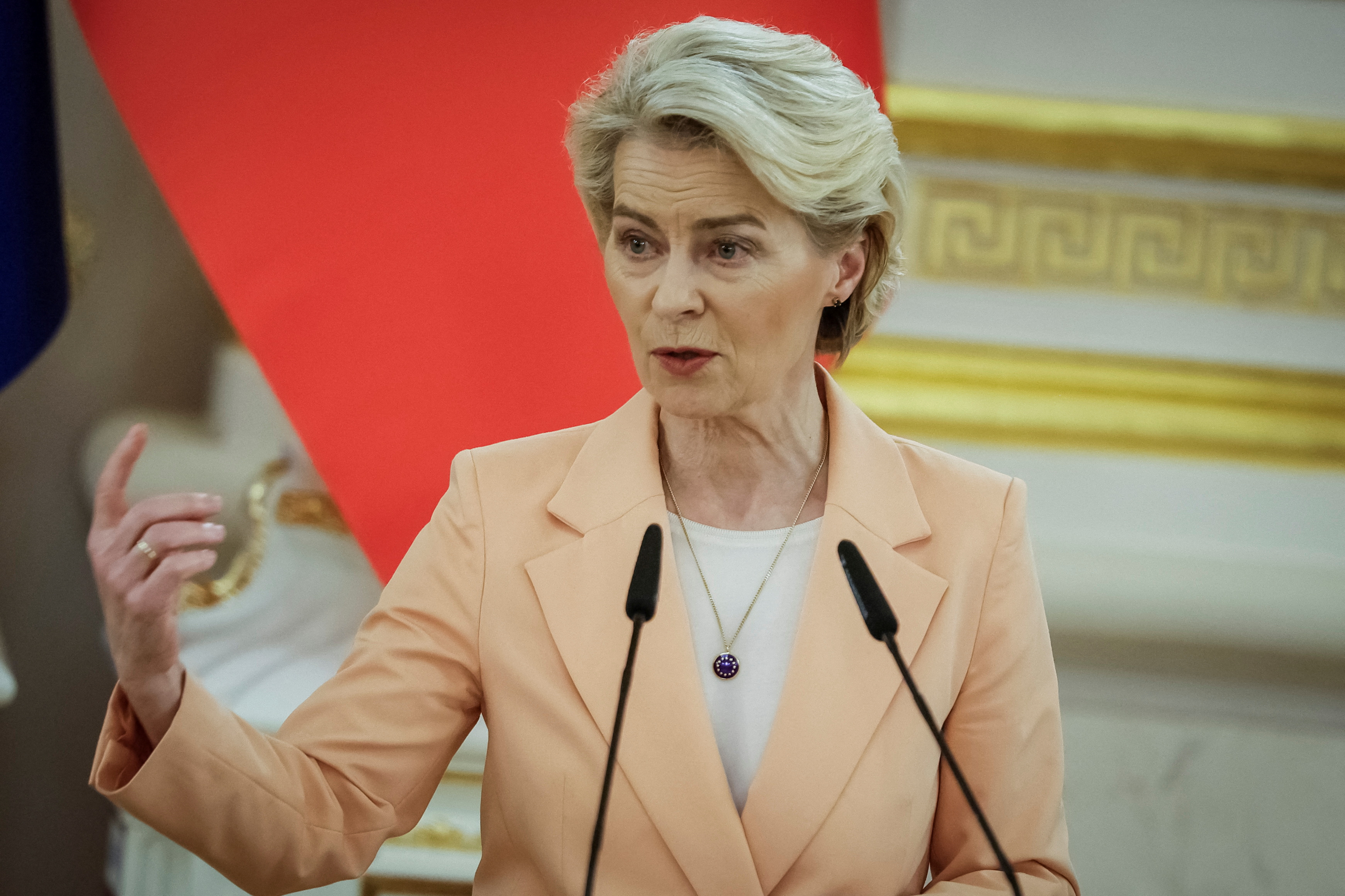 EU chief Ursula von der Leyen said there could be no better use of Russian money.