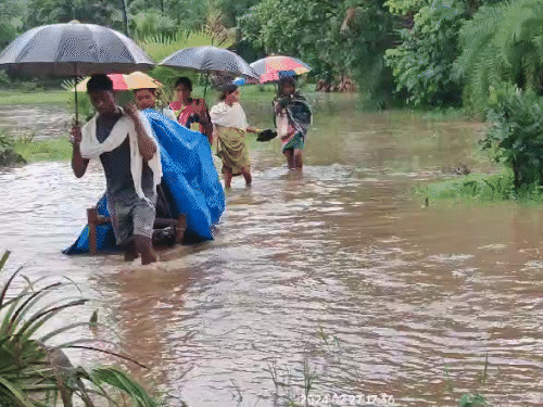 परिजनों ने गर्भवती महिला को खाट पर लिटाकर उसे कांधे से ढोकर एंबुलेंस तक पहुंचाया।