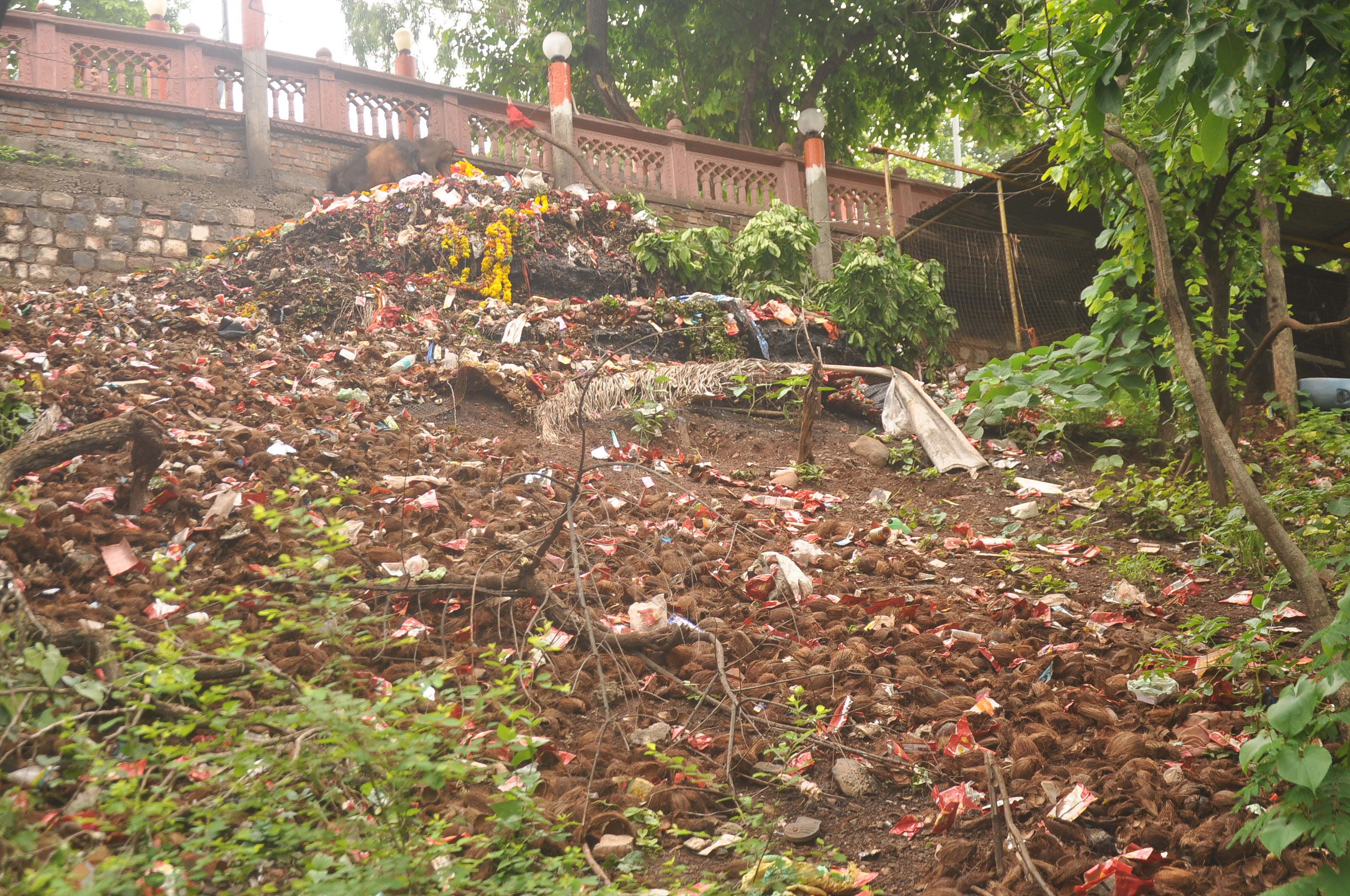 A pile of garbage is piled up at Hanuman Tekri temple | हनुमान टेकरी ...