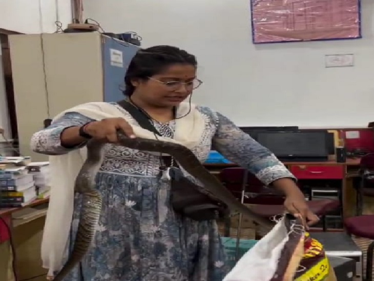 सर्वाधिक सांपों का रेस्क्यू कर अजिता गोल्डन बुक ऑफ वर्ल्ड रिकाड में अपना नाम दर्ज करा चुकी है।