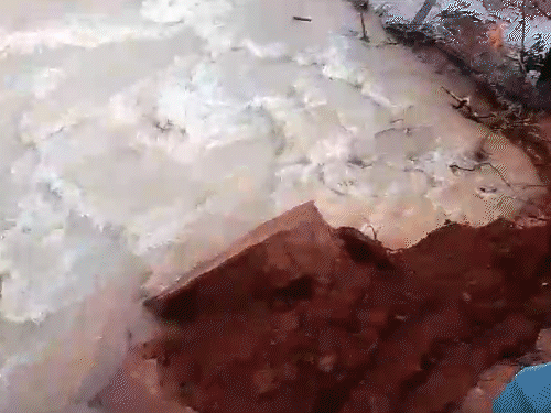 बिलासपुर में लगातार बारिश के बाद मंगलवार को ये नहर टूट गई थी।
