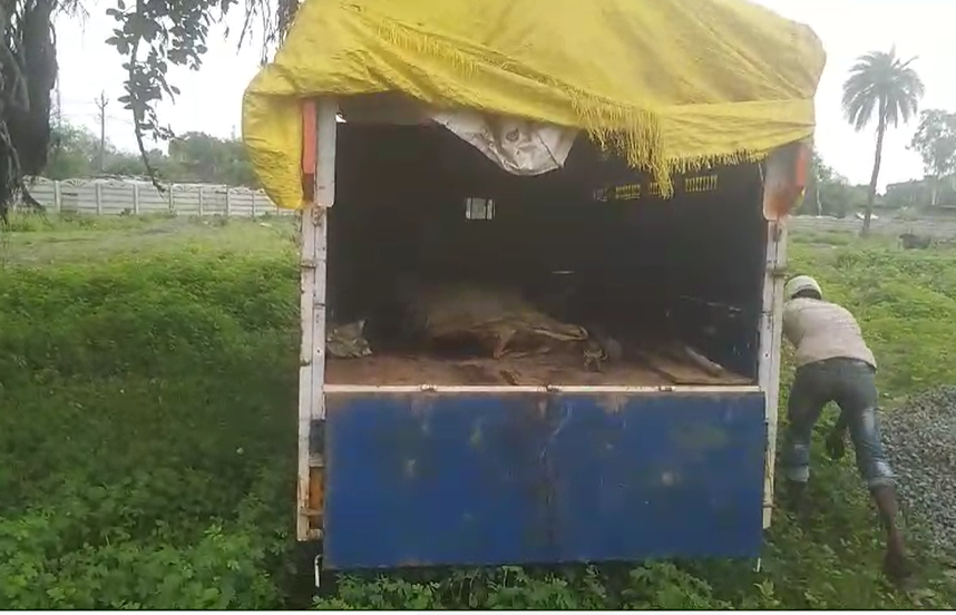 The bodies were taken to Simaria Hospital for post-mortem.