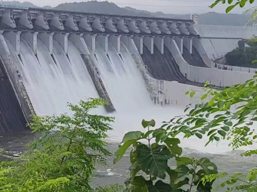 9 gates of Sardar Sarovar Dam were opened | सरदार सरोवर डैम के 9 गेट खोले गए: MP में भारी बारिश से आधे सीजन में ही 87% भर गया बांध, 134.75 मीटर