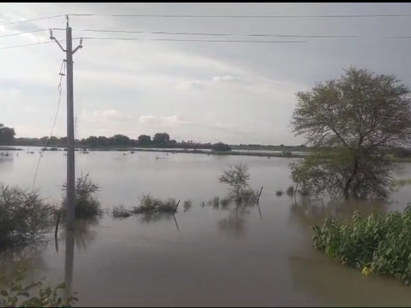 Submerged Overflow Crops submerged overflow canal Jalaun | जालौन में नहर ओवरफ्लो होने से ...