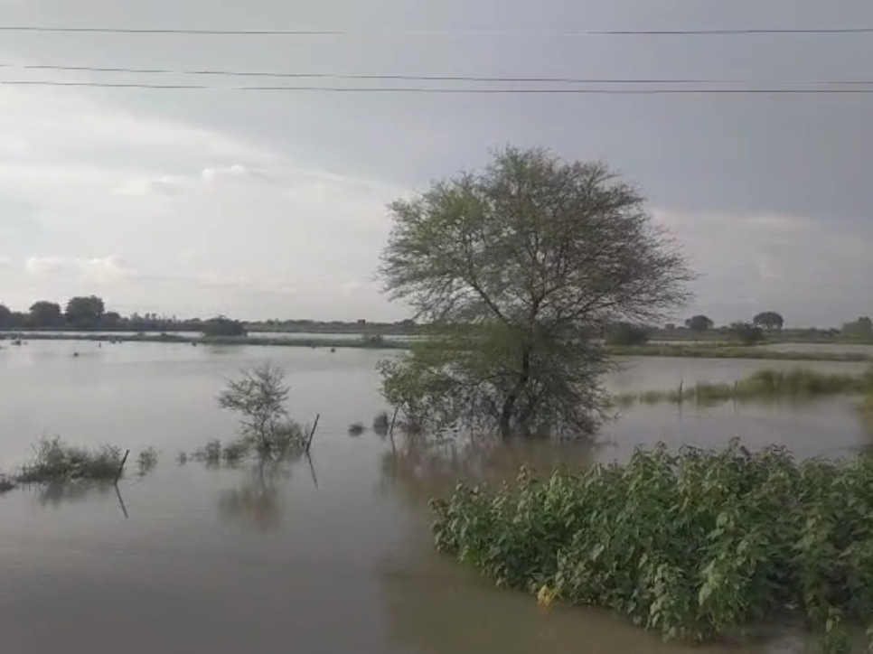 Submerged Overflow Crops submerged overflow canal Jalaun | जालौन में नहर ओवरफ्लो होने से ...
