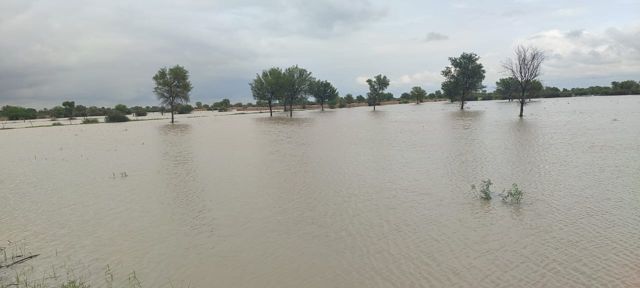 Submerged Overflow Fields submerged, ponds overflow, advisory issued | खेत जलमग्न, तालाब ...