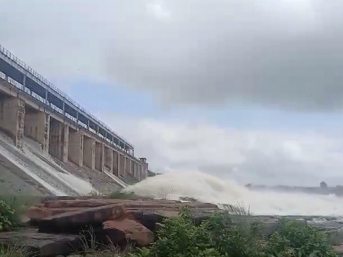 धौलपुर के पार्वती बांध के गेट खोलकर पानी छोड़ा जा रहा है।
