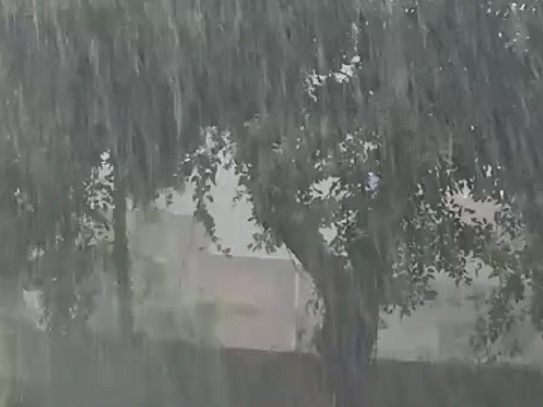 Sunshine and shade continue in Lucknow since morning , People are getting  worried due to increasing humid heat, Meteorological Department has  expressed the possibility of rain. | लखनऊ के कई इलाकों में
