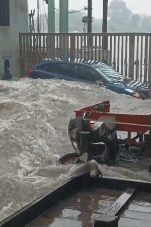 The car was swept away by the strong current of water at Swami Ghat in Mathura. If there was no net ahead, the car would have flown into the Yamuna.