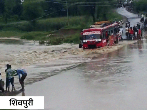 मध्य प्रदेश के भोपाल-शिवपुरी समेत प्रदेश में भारी बारिश का दौर जारी है।