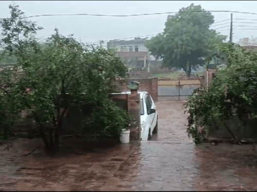 पिछले 24 घंटे के दौरान चरखी दादरी में सबसे ज्यादा बारिश हुई।