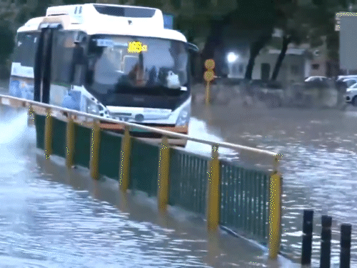 अहमदाबाद में सोमवार सुबह भी तेज बारिश हुई। इससे सड़कों पर पानी भर गया। कई निचले इलाकों में पानी भरा हुआ है।