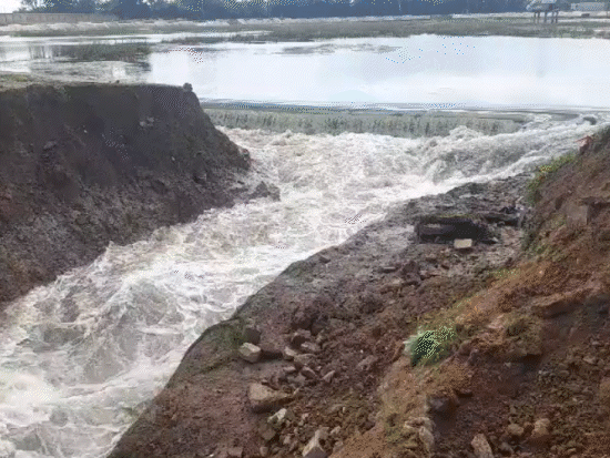 MP Satna Pond Collapse Video Update; Water Overflow | Flooding | सतना में तालाब फूटा, कॉलोनियों में घुसा पानी: तेज बहाव में फंसे चार लोग; बच्चों ने गेट पर लटककर बचाई जान -
