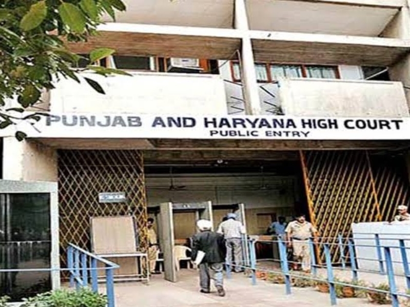 chandigarh Punjab and Haryana High Court kaithal child custody case