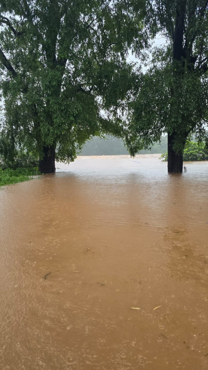 सुकमा में भारी बारिश के चलते बाढ़ जैसे हालात हो गए हैं। सुकमा से ओडिशा (मल्कानगिरी) जाने वाला मार्ग पूरी तरह से पानी में डूब गया है।