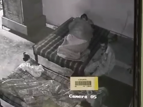 31 अगस्त को हस्तिनापुर इलाके में हुई चोरी के दौरान CCTV में दिखे थे दोनों भाई।