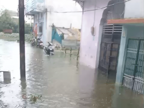 रायपुर शहर के कई इलाकों में पानी भर गया है। इसके चलते लोगों को काफी नुकसान हुआ है।